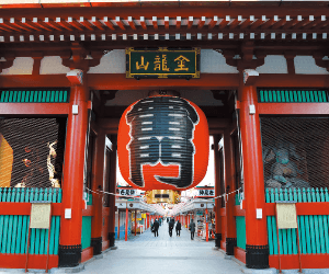 Tokyo Sightseeing Day Tour with Matcha, Bay Cruise and Tokyo Tower
