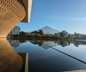 Mt. Fuji and Sake Tasting Private Day Tour in Shizuoka