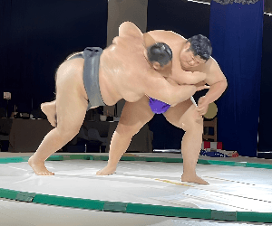 Osaka Sumo Show and Ring Experience in Izumisano with Optional Chanko Meal