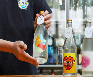 All-You-Can-Drink Sake Experience in Tokyo