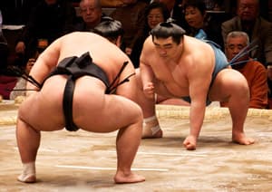 11 Sumo Experiences in Tokyo and Osaka|Shows, Morning Practice and Ring Activities